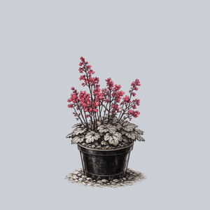 Timeless Treasure Coral Bells