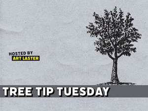 Plant Detectives - Tree Tip Tuesday