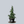 Load image into Gallery viewer, Weeping Alaska Cedar
