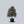Load image into Gallery viewer, Weeping European Beech
