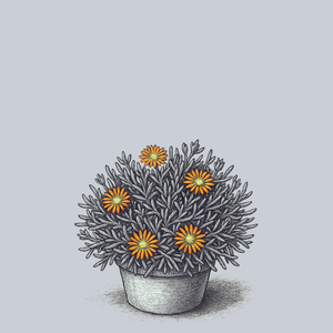 Wheels of Wonder Orange Wonder Ice Plant