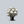 Load image into Gallery viewer, White Catawba Rhododendron
