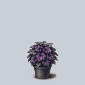 Wildberry Coral Bells