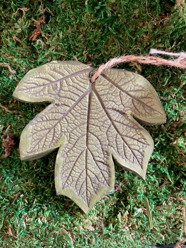 CLAY ORN. OAKLEAF HYDRANGEA STORE ITEMS Plant Detectives   