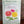Load image into Gallery viewer, SEEDS/ZINNIAS CUT AND COME AGAIN      5070  Plant Detectives   
