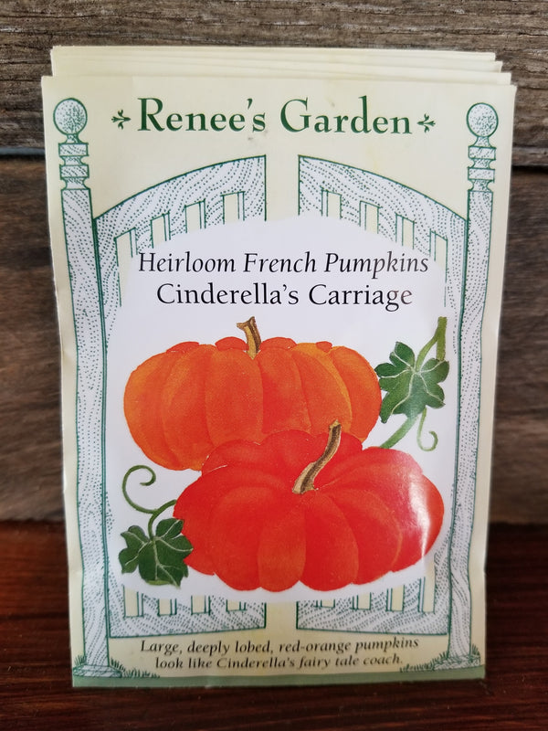 SEED/PUMPKIN CINDERELLA'S CARRAIGE #5079  Plant Detectives   