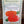 Load image into Gallery viewer, SEED/PUMPKIN CINDERELLA&#39;S CARRAIGE #5079  Plant Detectives   
