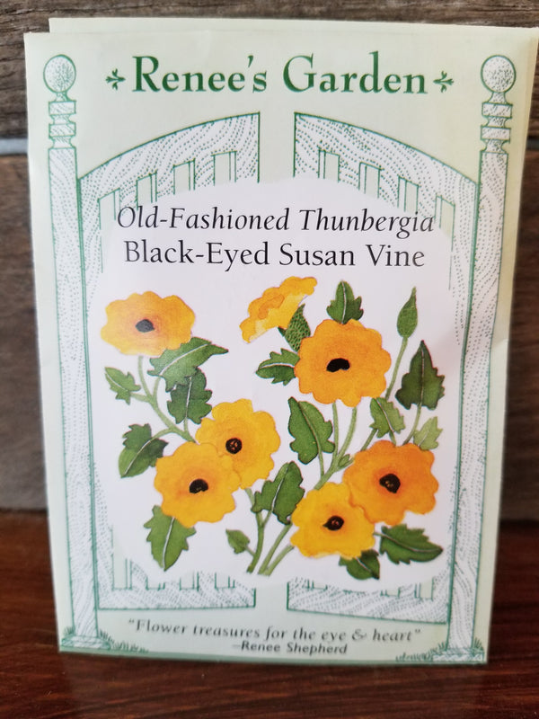 SEEDS/THUNBERGIA BLACK EYED SUSAN VINE #5287 BULBS/PACKAGED SEEDS Plant Detectives   