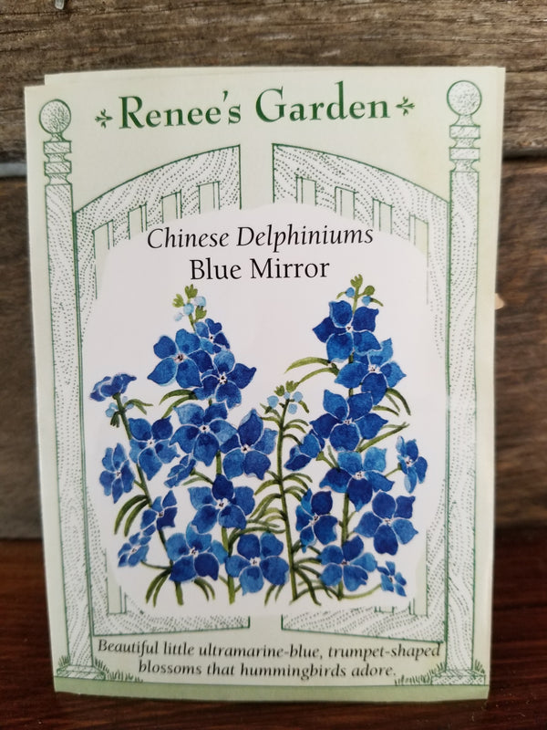 SEED/DELPHINIUM BLUE MIRROR  5346  Plant Detectives   