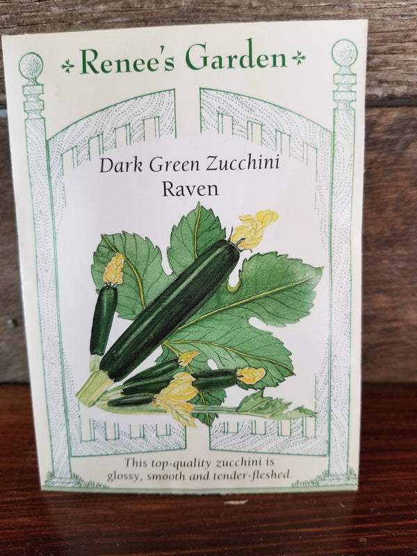 SEED/ZUCCHINI RAVEN  Plant Detectives   