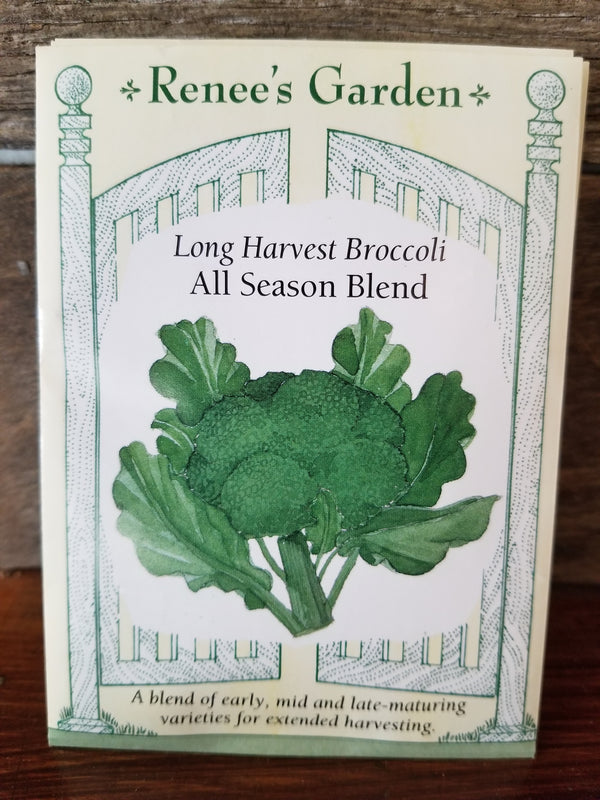 SEED/BROCCOLI ALL SEASON BLEND    5580  Plant Detectives   