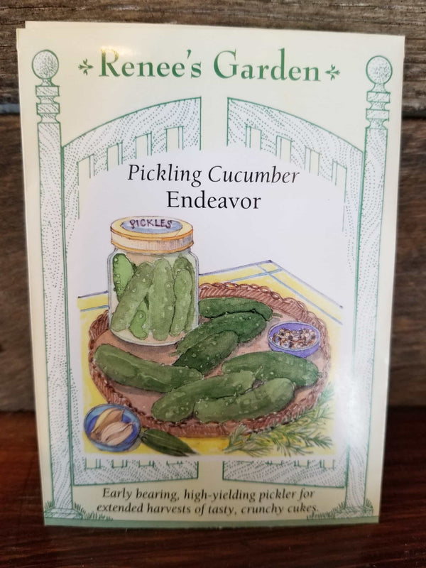 SEED/CUCUMBER PICKLING ENDEAVOR F1 #5834 BULBS/PACKAGED SEEDS Plant Detectives   