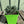 Load image into Gallery viewer, - SEDUM BLUE SPRUCE QUART
